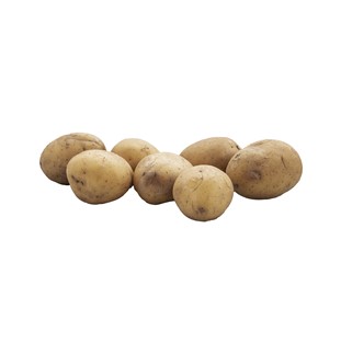 Potatis Ekologisk odlas av odlare på Sydgrönt